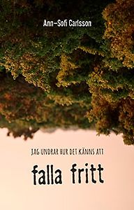 Ann-Sofi Carlsson: Jag undrar hur det känns att falla fritt