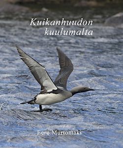 Eero Murtomäki: Kuikanhuudon kuulumalta