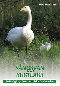 Hans Hästbacka: Sångsvan och kustlabb