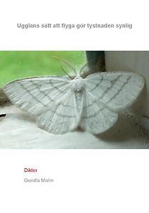 Gunilla Malm: Ugglans sätt att flyga gör tystnaden synlig