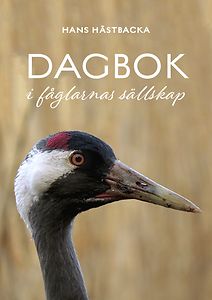 Hans Hästbacka: Dagbok i fåglarnas sällskap