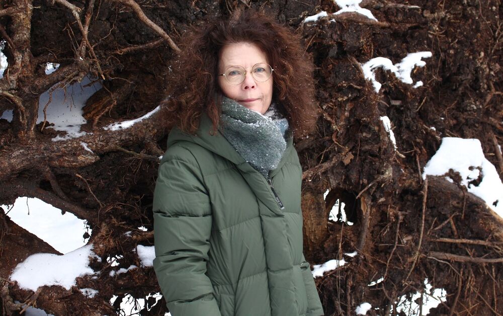 Sjunka (ljuset gör att barken strålar)