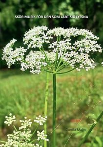 Gunilla Malm: Skör musik för den som lärt sig lyssna