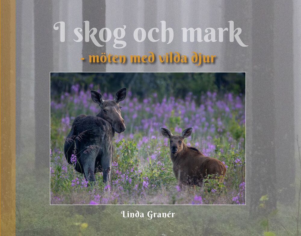 I skog och mark - möten med vilda djur