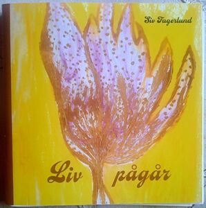 Siv Fagerlund: Liv pågår