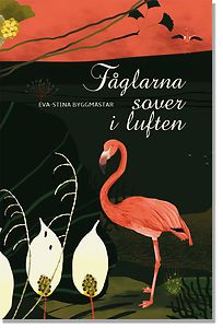 Eva-Stina Byggmästar: Fåglarna sover i luften