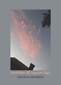 Helena Sinervo: Snubblar till upprätt läge